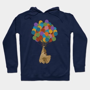 Birthday Sloth Hoodie